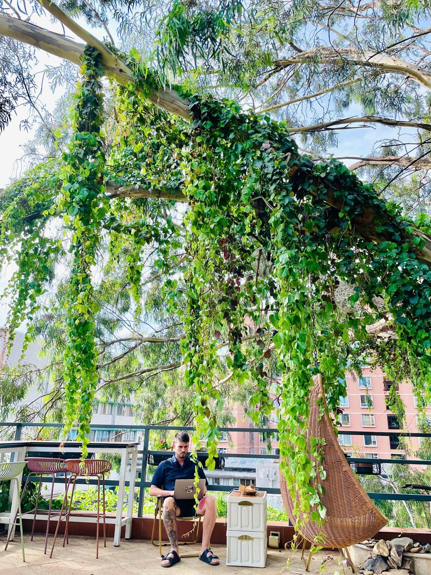 Kunming Upland International Youth Hostel Near The City Center ,2 Mins Walk To The Subway, 2 Mins Walk To The Green Lake, Close To Yuan Tong Temple, Old Street, Yunnan University, Convenient Payment And Visa Cards Are Accepted Exterior photo